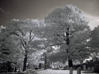 DSC04257_ir_web.jpg