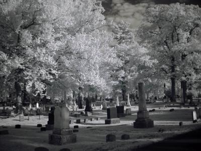 DSC04261_ir_web.jpg