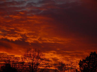 landscape-1-18-02.jpg