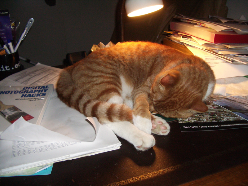 Organic Paperweight
