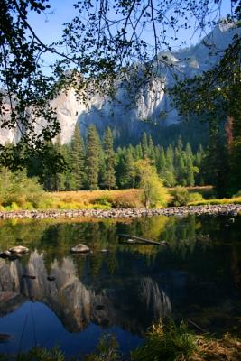 Reflections