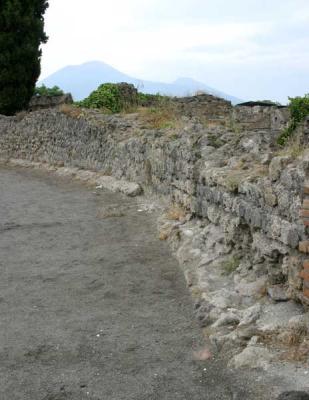 u6/tprice/medium/35301196.PompeiWallMt.Vesuvius.jpg
