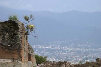 View-from-Pompei