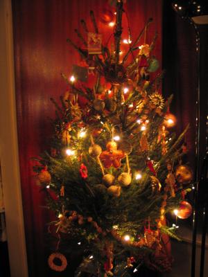 u6/trevvelbug/medium/37585126.Xmastree.jpg