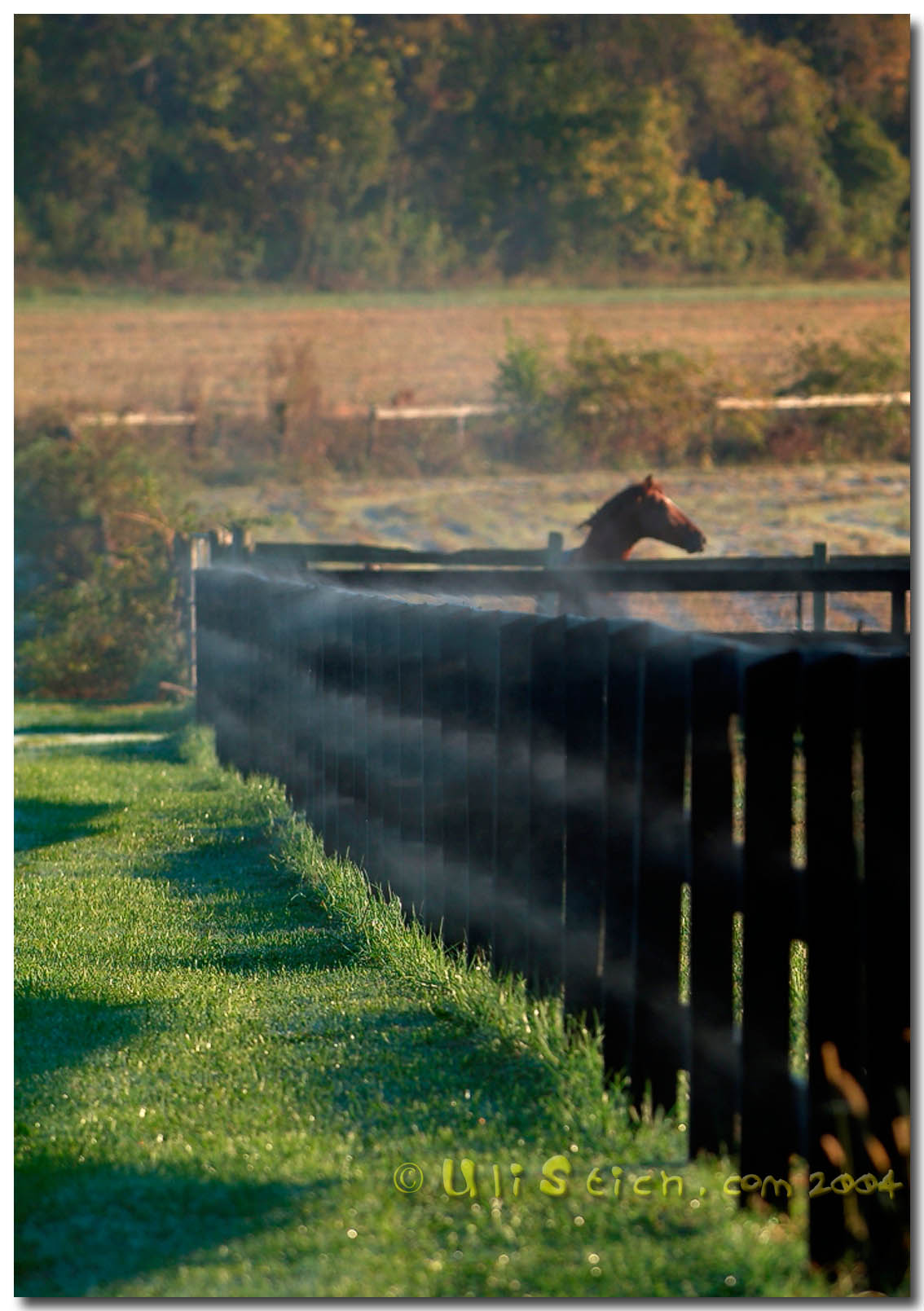 Landrum, South Carolina , USA ,  Born Free farm