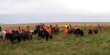 Icelandic Horses