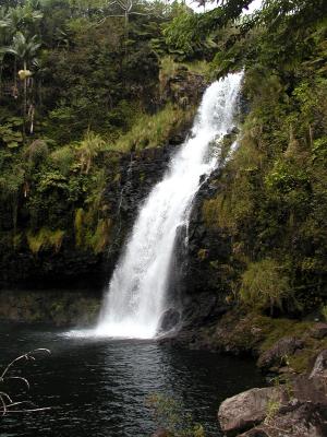 Classic Hawaiian Waterfall.jpg