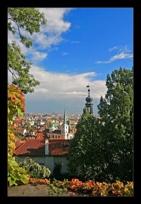 Leafy View