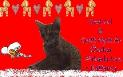 X-mas card from Mikaela & Lars and the cats  2004
