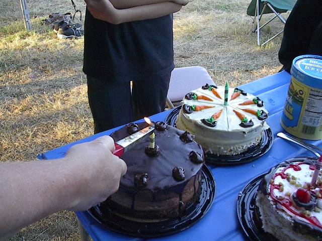 119 Jeanie Murphys birthday cakes.