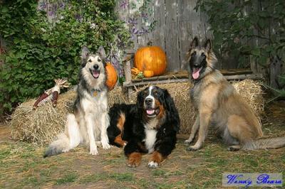 Tanja, Boris, Tyra