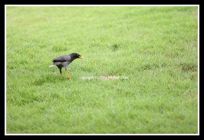 Picture 209 a border.jpg