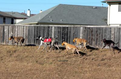 Sunday Playgroup