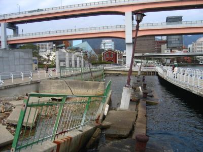 u6/xerius/medium/37700158.IMG_0093.jpg