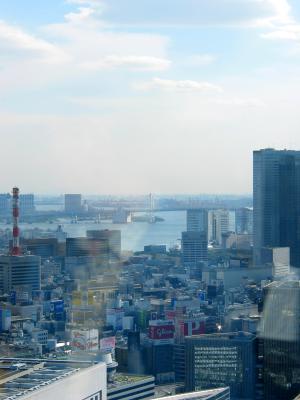Tokyo skyline 2