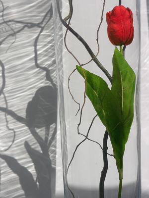 Plastic  tulip vs. shadow = A beauty that withstands time
