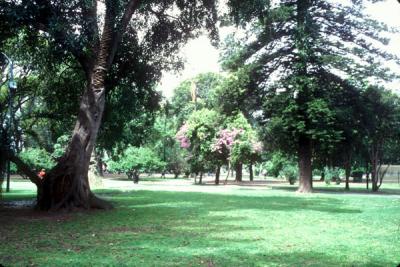 Lezama Park