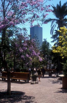 Plaza de Armas