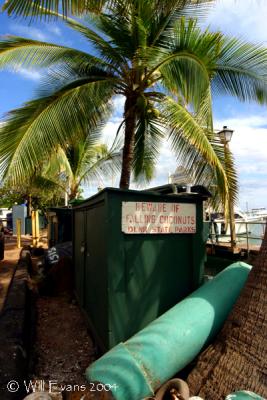 u7/31south/medium/41296562.coconuts.jpg