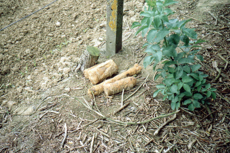 Shells are still being found.