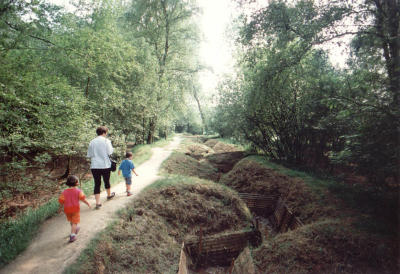 Hill 62: Santuary Wood Trenches