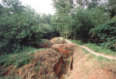 Santuary Wood Trenches: Hill 62