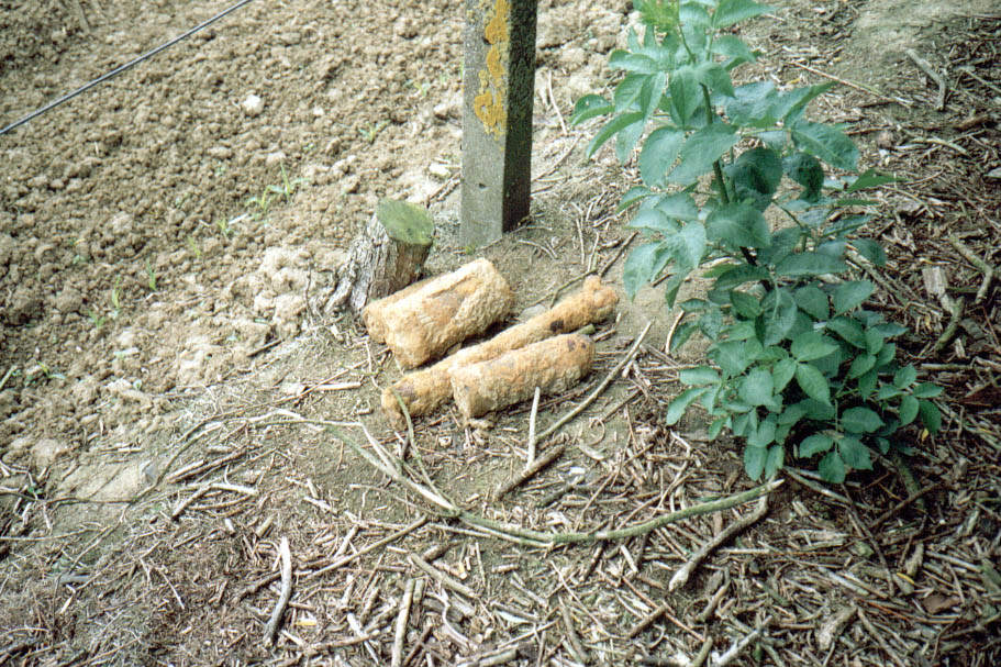 Shells are still being found.