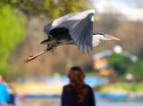 takeoff