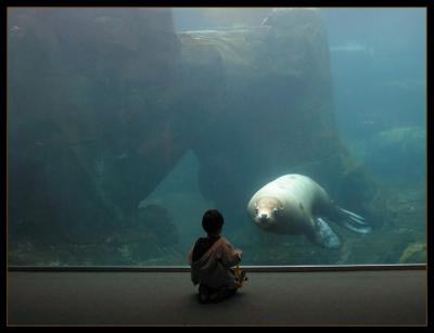Two Worlds