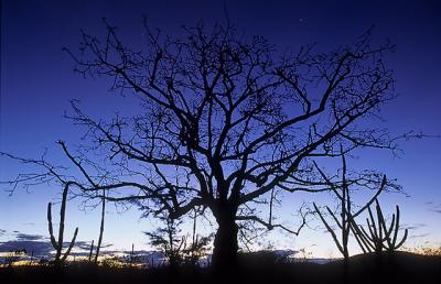 crepúsculo em cerro corá