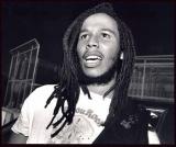 Ziggy Marley