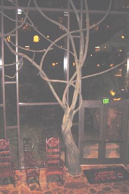 Animal Kingdom 2005