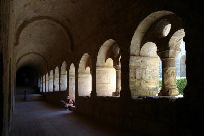 Abbaye du Thoronet cloister