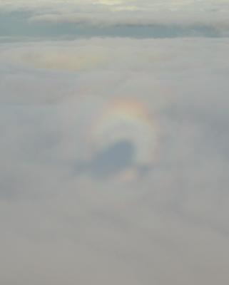 Aloha Shadow Rainbow.jpg