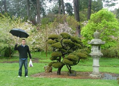 Japanese Tea Garden