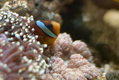 CRW_0568.jpg