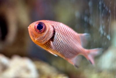 CRW_0584.jpg