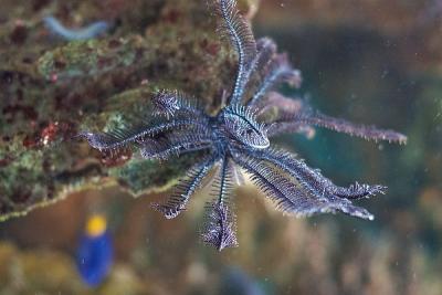 CRW_0588.jpg