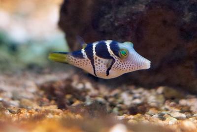 CRW_0592.jpg