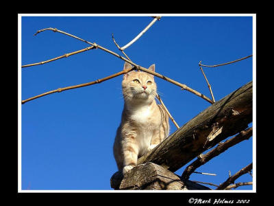 I like these high places!