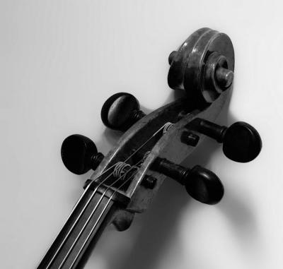 B&W Cello Study