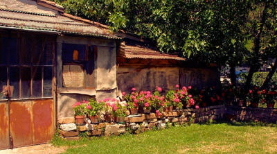 GubbbioFlowers_0863.jpg