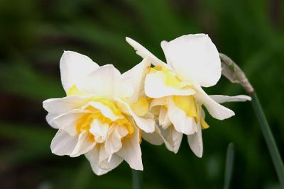 IMG_6273-r.jpg