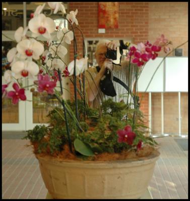 Img0386 Self Portrait w Orchid in mirror.JPG