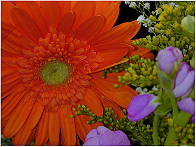 u7/bklyncmt/medium/1164508.CopyofDSCN0362a.jpg