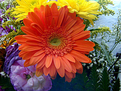 u7/bklyncmt/medium/1180532.Flowers2DSCN0455.jpg