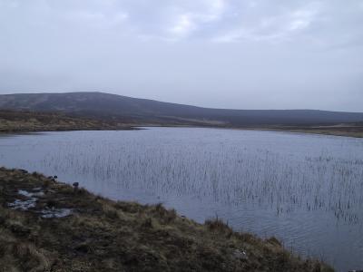 Loughgarve