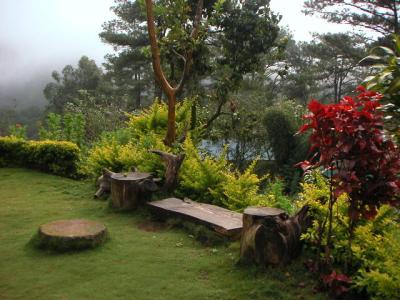 gorgeous garden