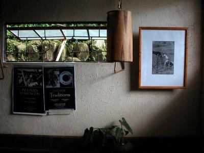 tommy's pics in yoghurt house