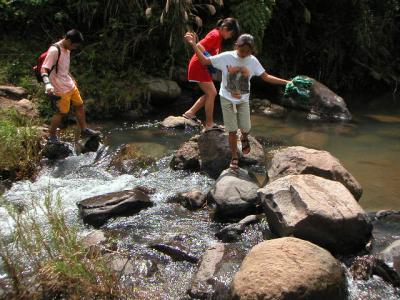 crossing the creek